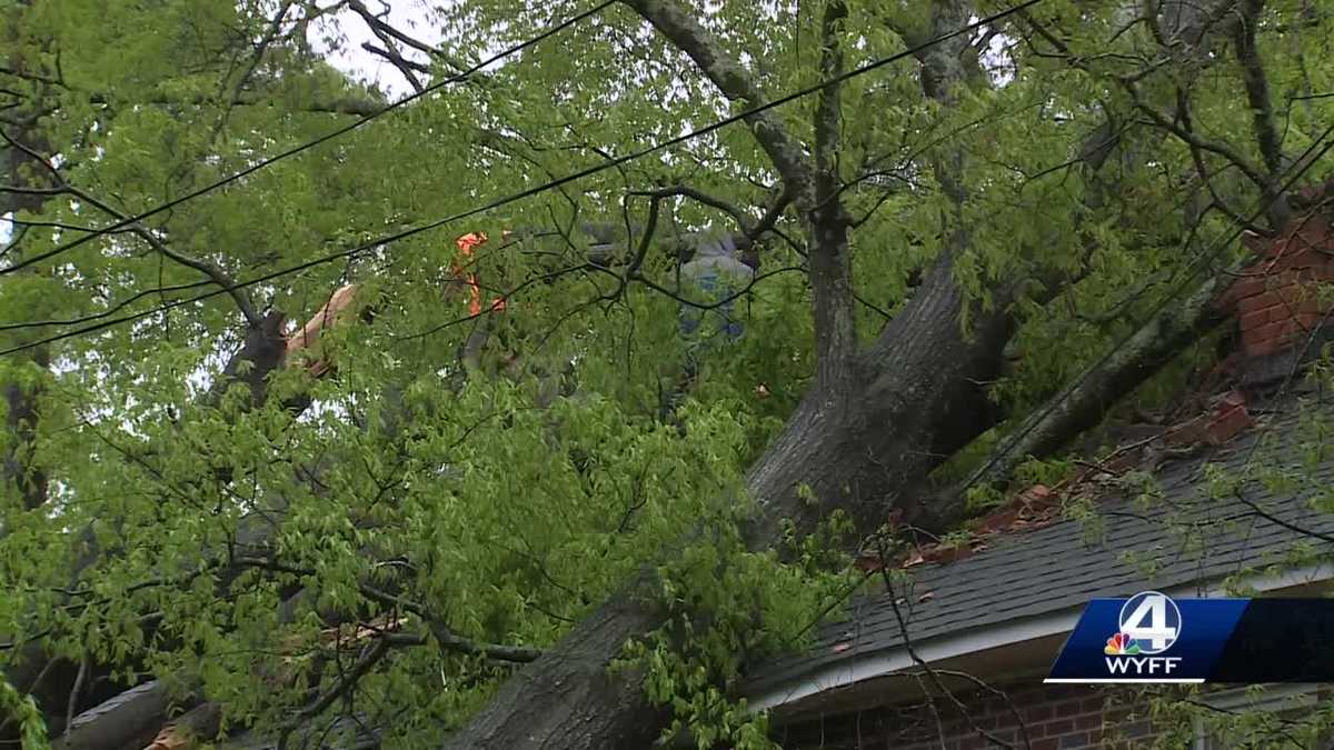 Greenwood residents cleaning up after storms