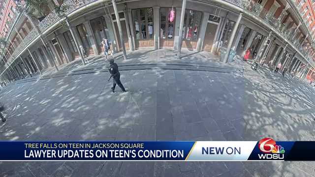 Jackson square tree teen injured lawyer update - Vimarsana News