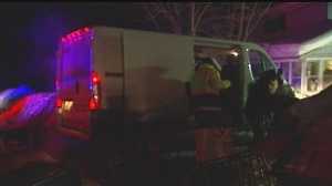 Dozens of animals rescued in Eden