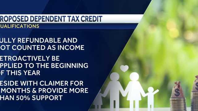 ahead of a public hearing for a expanded dependent tax credit - Vimarsana News