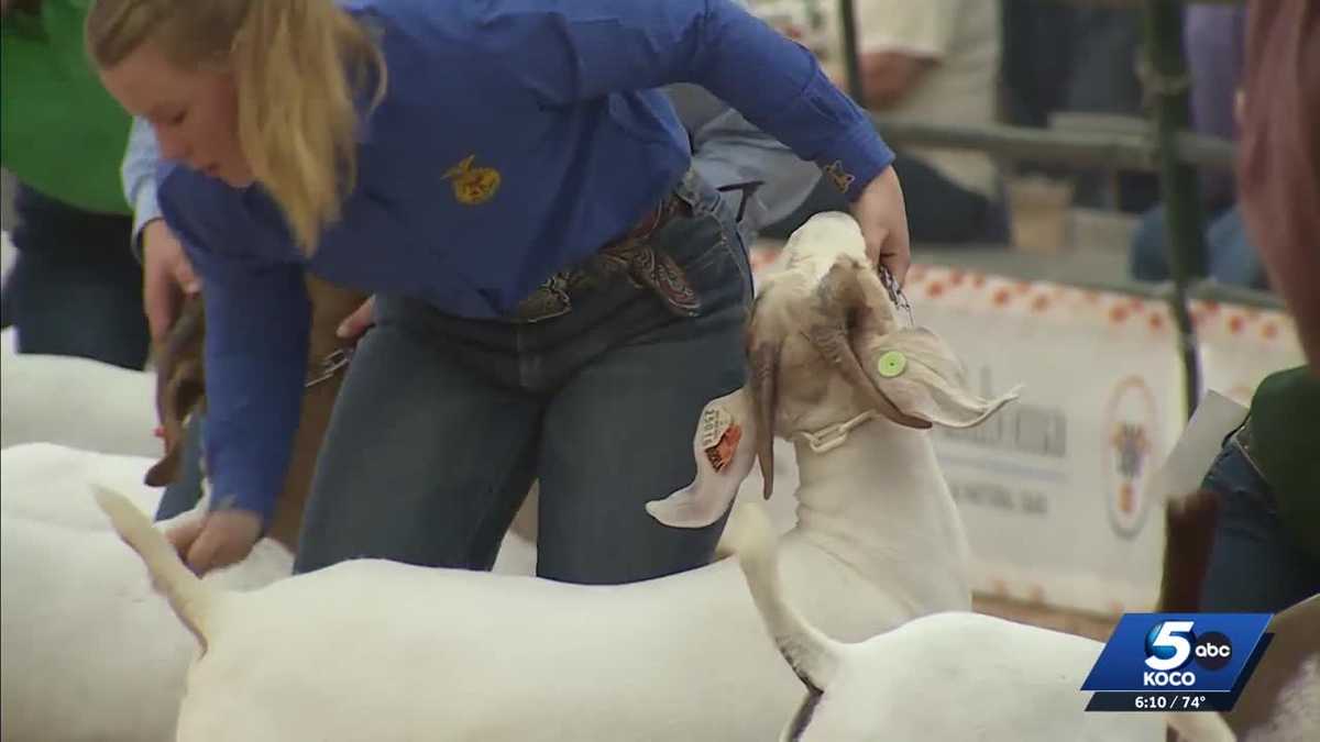 Oklahoma Youth Expo showcases future agricultural leaders