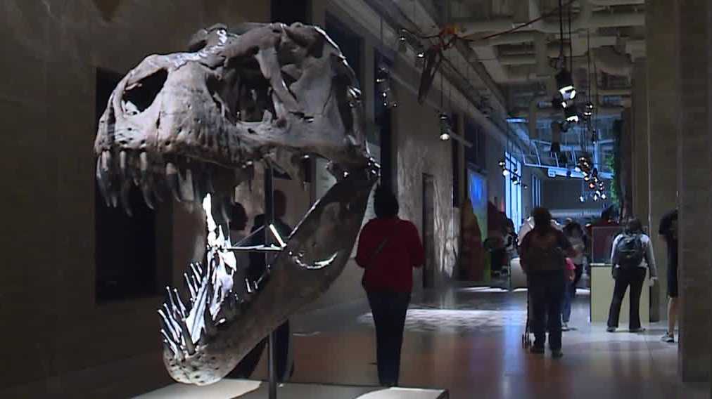 Science City debuts “Jurassic Journey” exhibit at Union Station