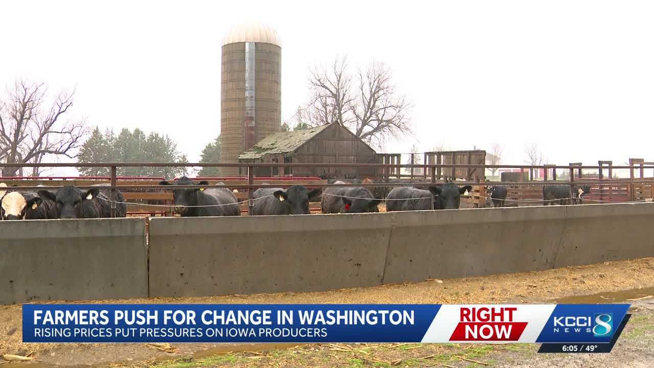Iowa farmers form new group as rising costs squeeze operations