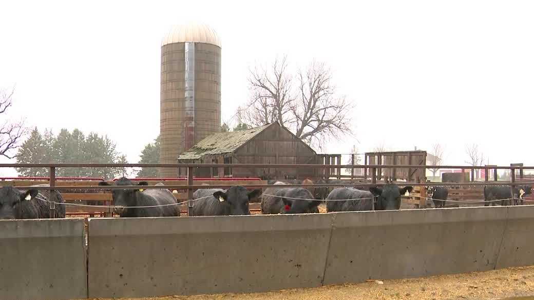 Iowa farmers form new group as rising costs squeeze operations