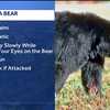 Man bitten by bear near Red River