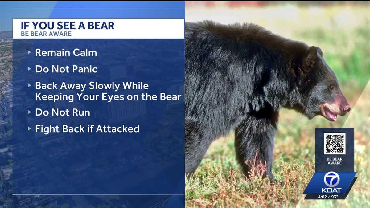 Man bitten by bear near Red River