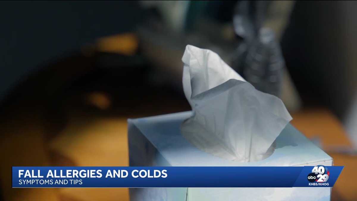 Fall allergies and colds are here. Here's how they differ from a cold ...