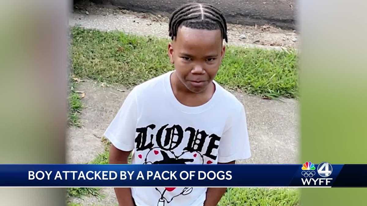 Mother, neighbor of SC boy mauled by dogs share pain - WYFF
