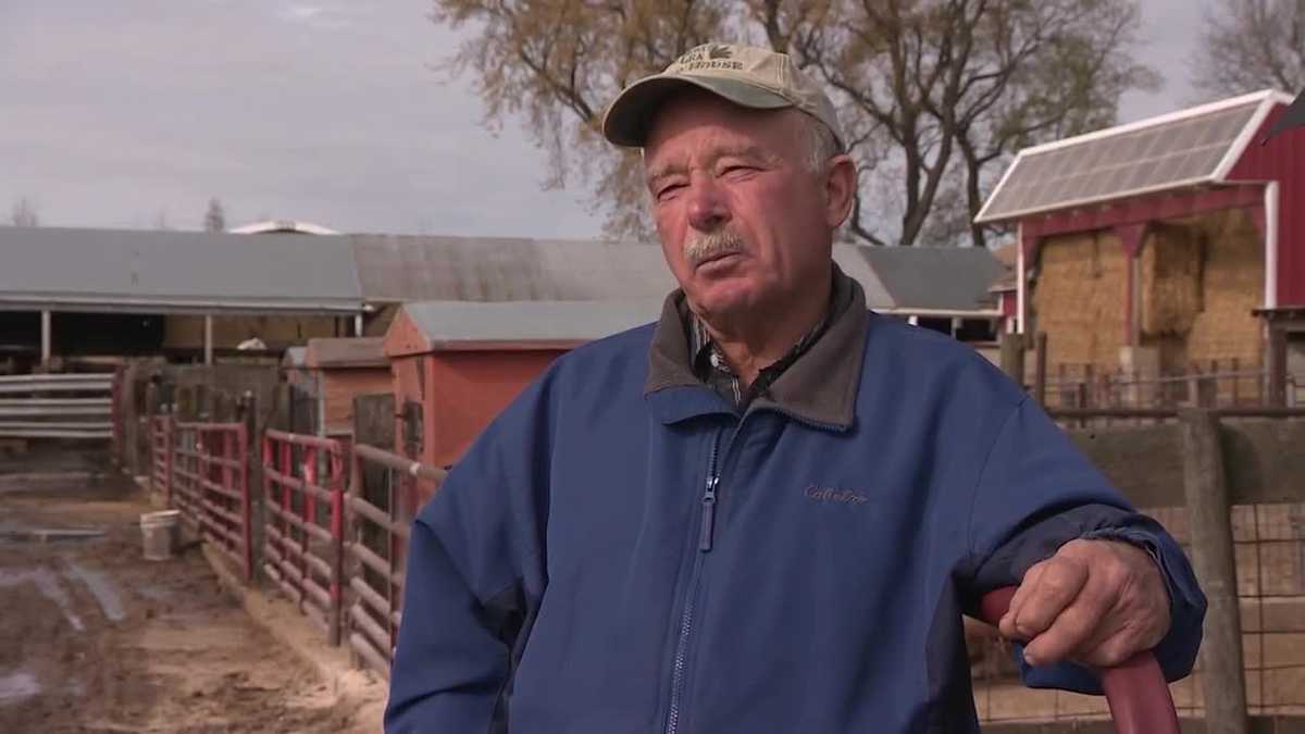 Iowa farmers feel 'irrelevant' in presidential race