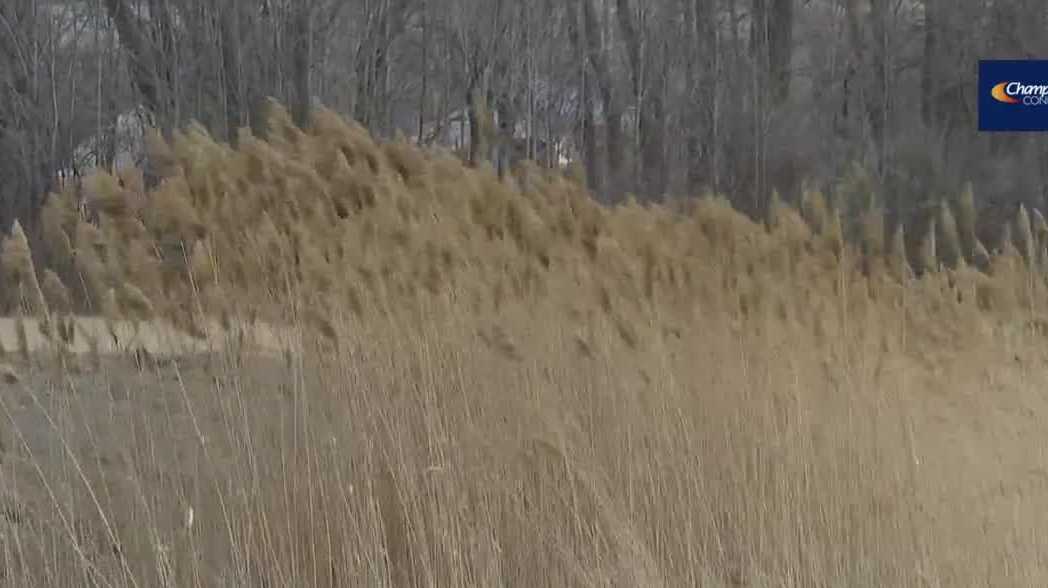 New Hampshire announces Wildfire Awareness Week as drought conditions persist