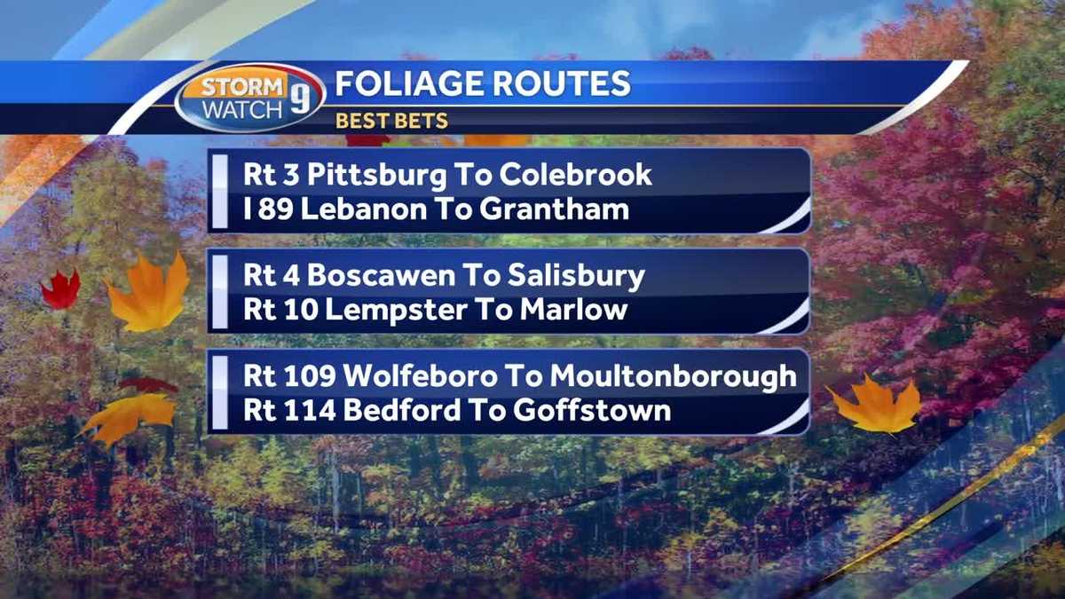 Fall foliage report: Best routes for leaf peepers this weekend