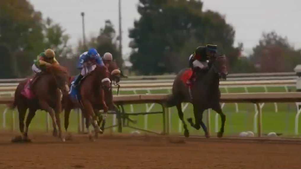 Government bans horse racing drugs; is the jockey whip next to go?