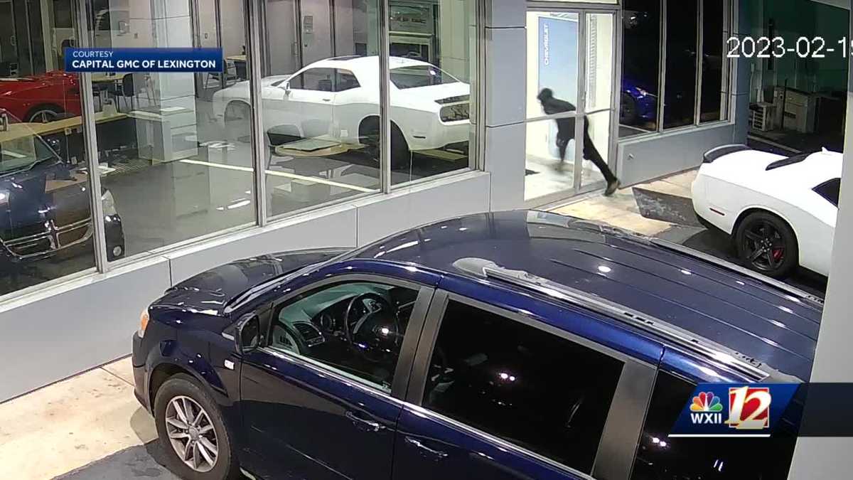 Surveillance footage shows suspects breaking into Lexington car dealership