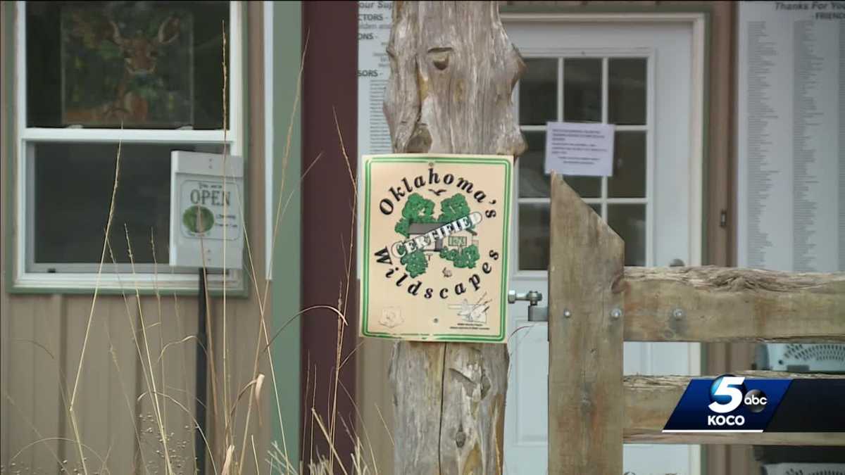 Wildlife rehab concerned about proposed turnpike
