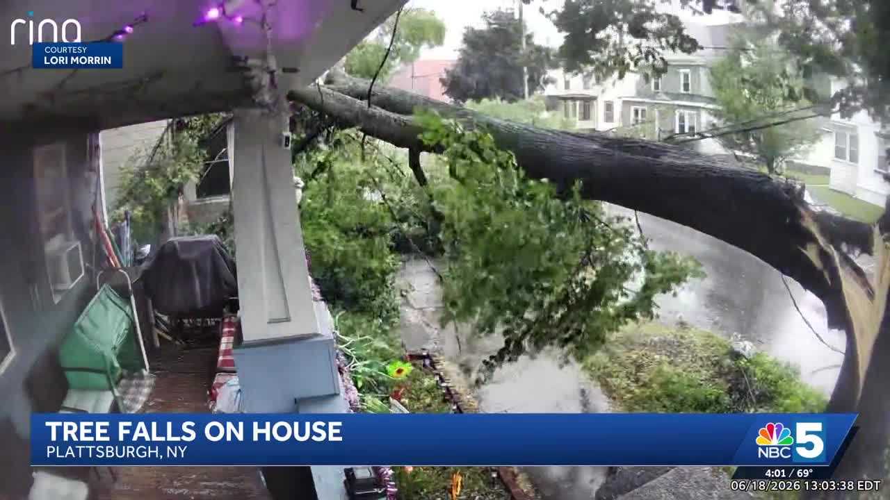 WATCH: Tree falls on power lines in Plattsburgh