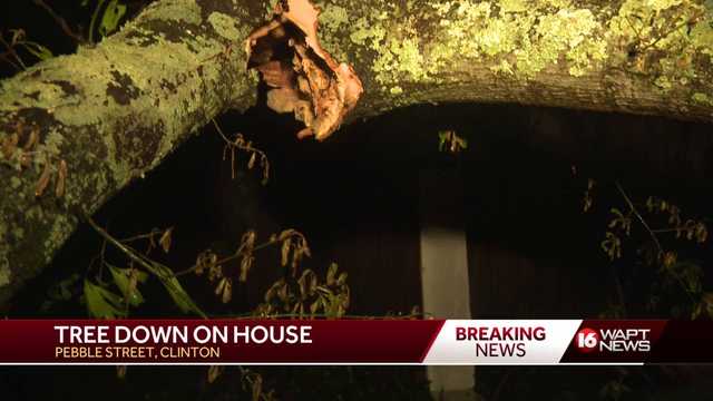 Tree falls into Clinton home during storms - Vimarsana News