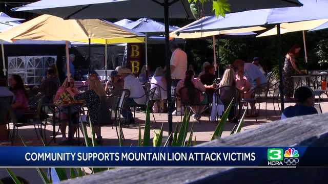 Community raises funds for family of brothers attacked by mountain lion - Vimarsana News