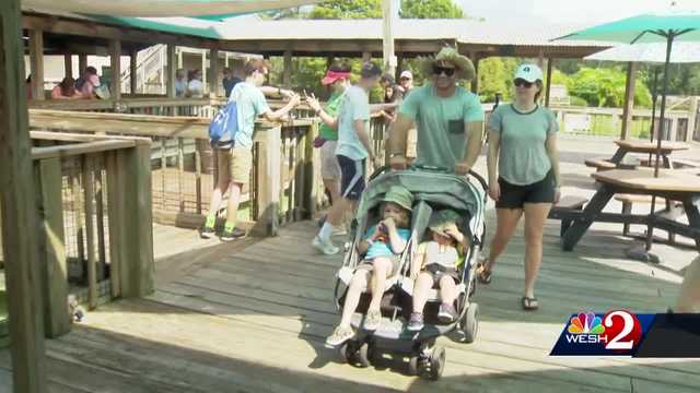 Florida tourism on the rebound despite inflation - Vimarsana News