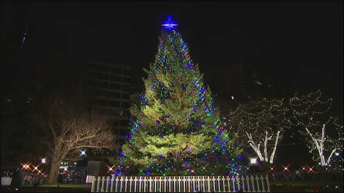 Uncut Boston Common Christmas tree lighting