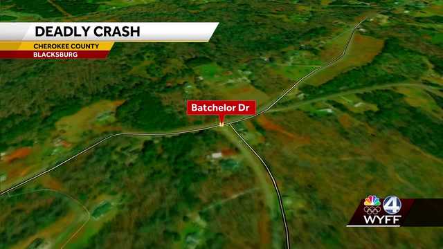 South Carolina: Crash turned fatal after driver hits tree - Vimarsana News