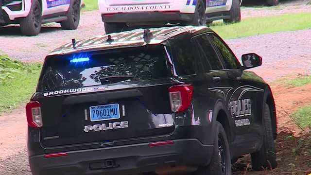 UA student, house-sitter, dog killed in Brookwood; Suspect found barricaded in attic