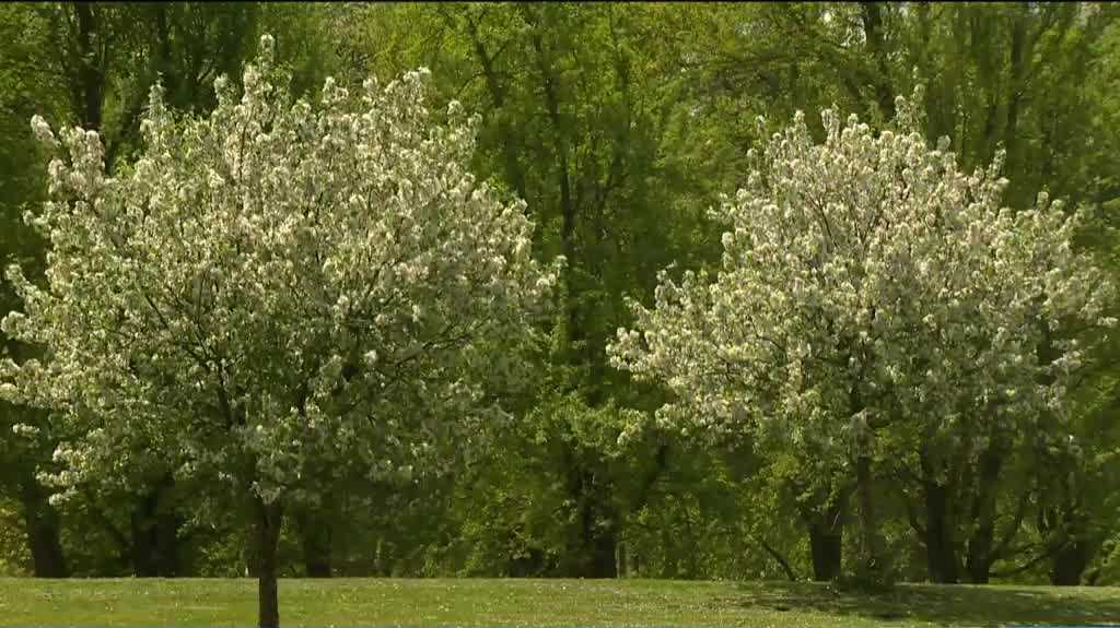 Which city in Pennsylvania has the highest amount of pollen?