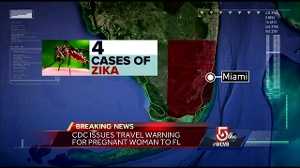 CDC issues travel warning to Florida due to Zika outbreak