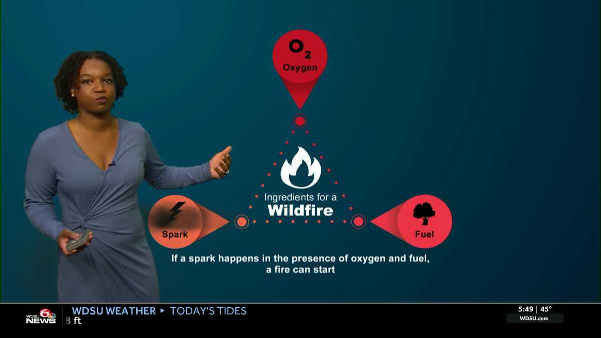 Impact Day: Red Flag Warning as dry conditions, strong winds remain in ...