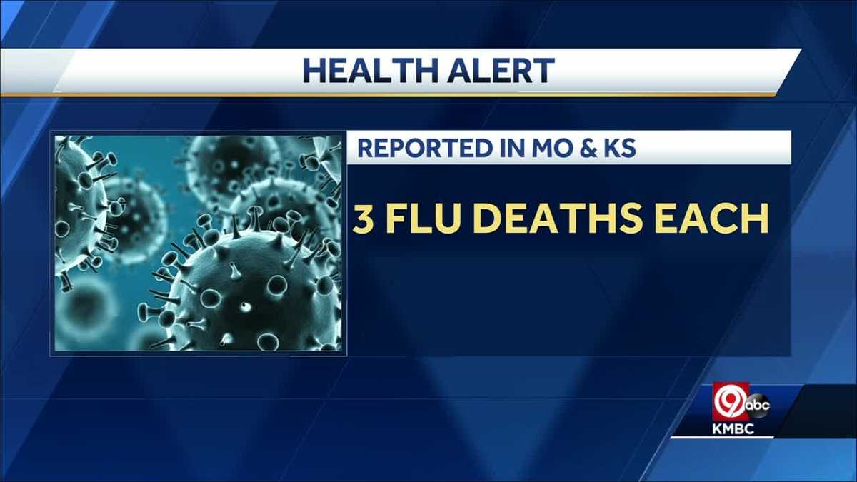 FLU SEASON IS HERE: First flu-associated deaths of season reported in ...