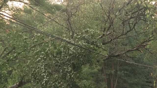 Sunday storms topple trees, knock out power for thousands in New Hampshire