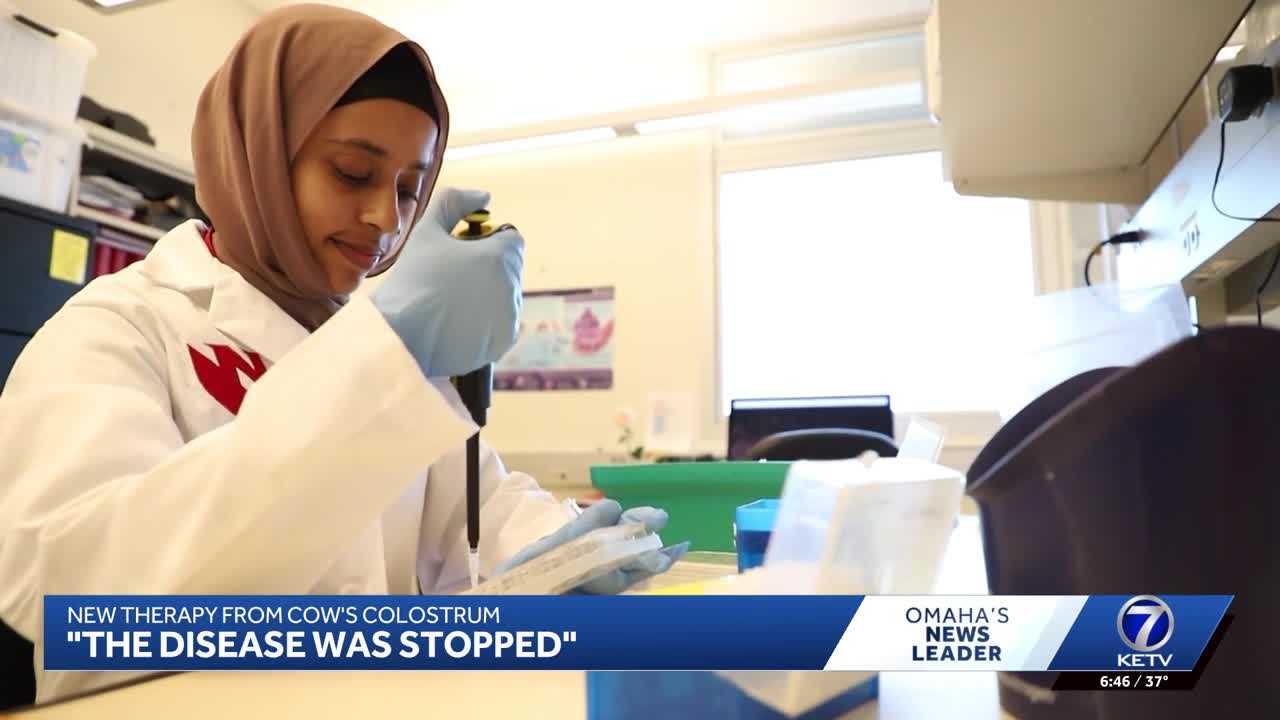 Colostrum from cow's milk shows promise in treating Parkinson's and Alzheimer's