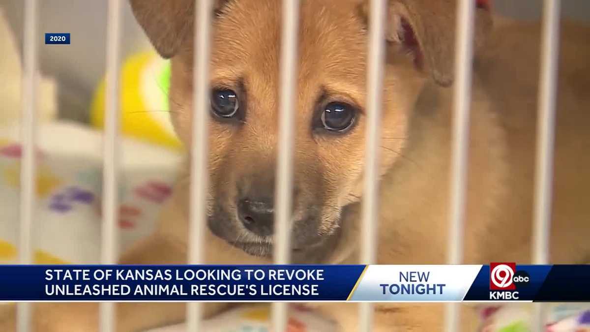 State of Kansas looking to revoke Unleashed Pet Rescue's license State of Kansas looking to revoke Unleashed Pet Rescue's license