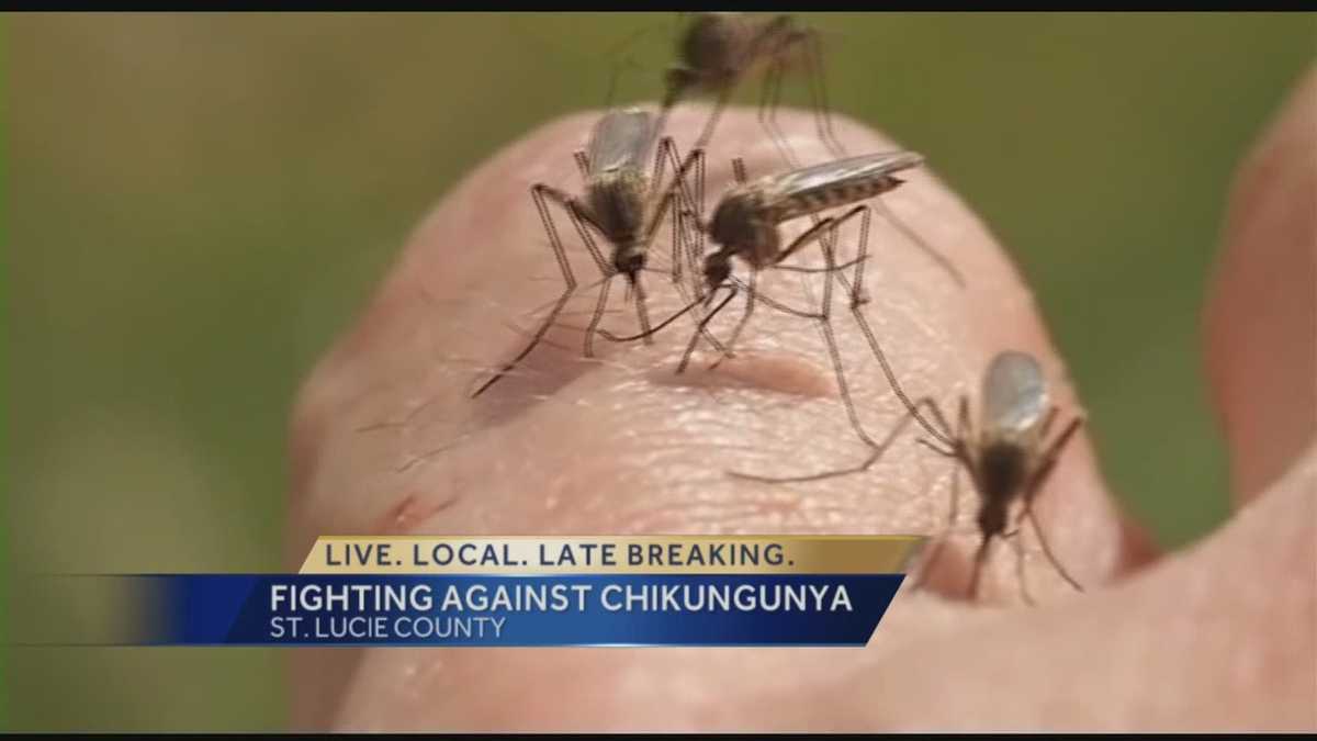 New Cases Of Chikungunya Virus Reported