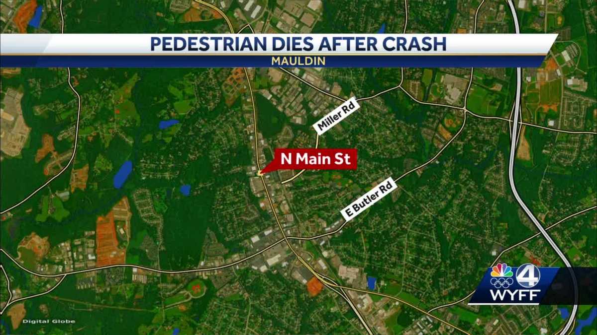 Pedestrian dies after being struck by vehicle in Greenville