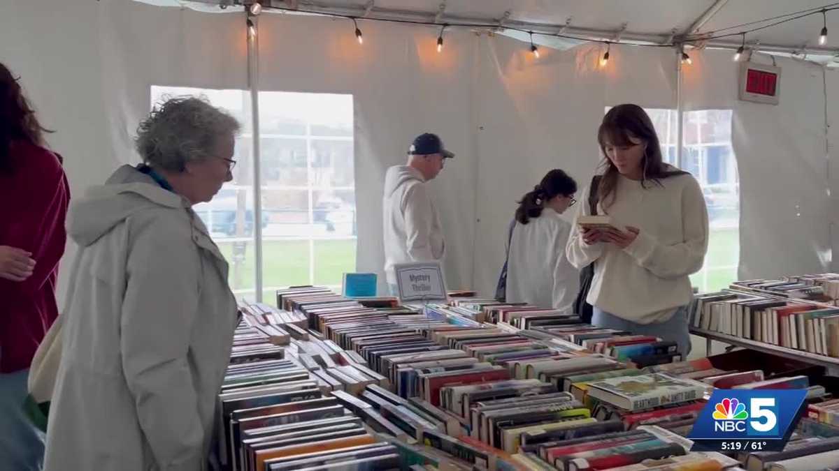 Bookstock literary festival returns to Woodstock this weekend