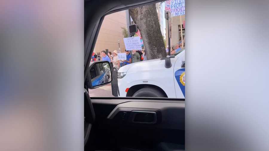 'No Kings Day' protest highlights democracy concerns in Mobile