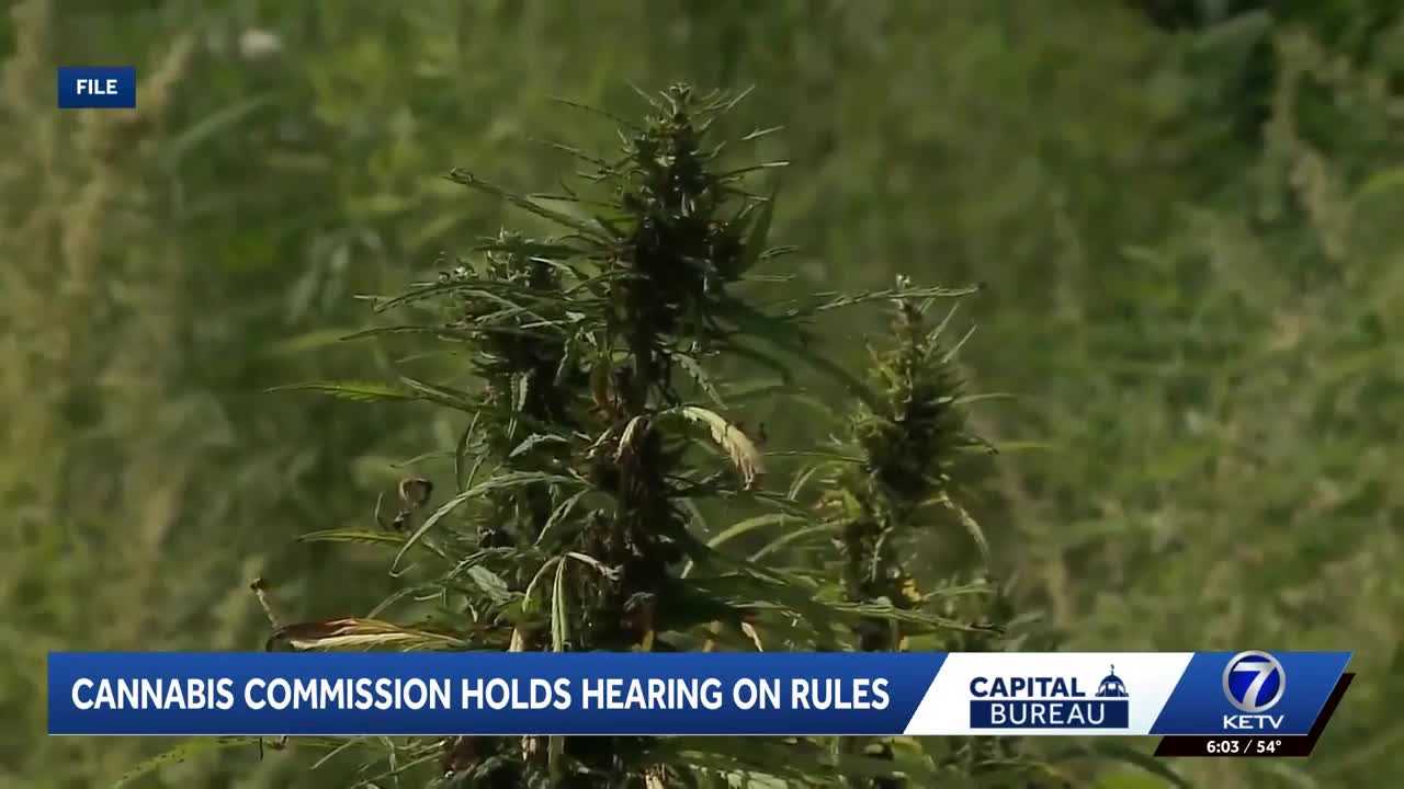 ketv.com - John Grinvalds - Nebraska Medical Cannabis Commission holds hearing on rule changes