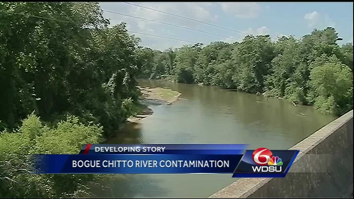 Residents in St. Tammany, Washington parishes warned about Bogue Chitto