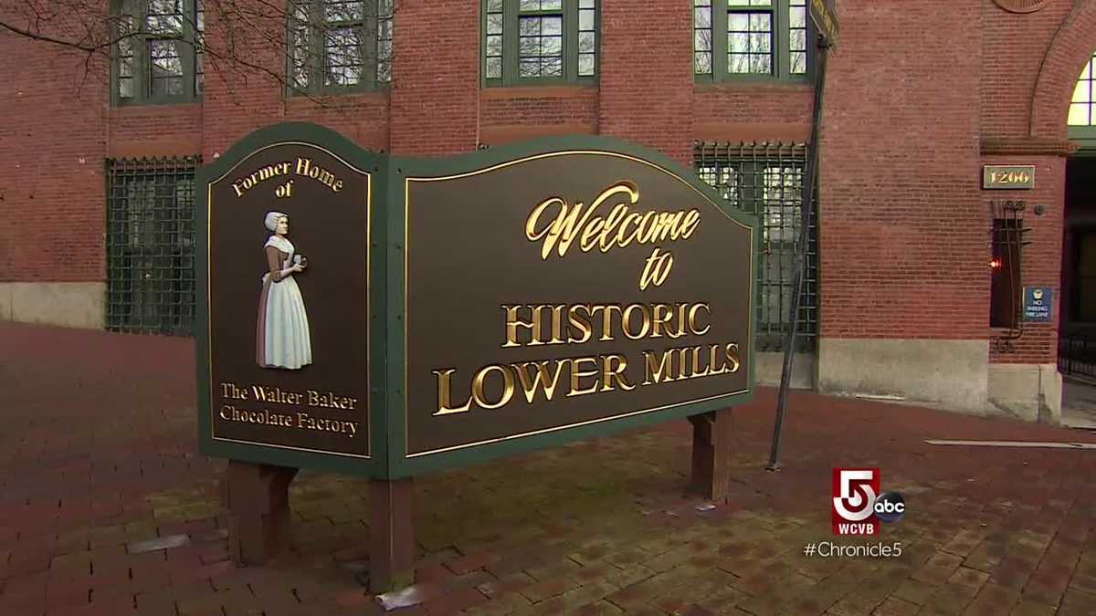 Find everything you need in Dorchester's Lower Mills