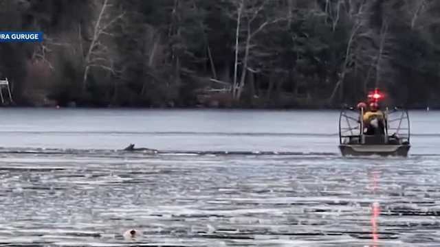 New Hampshire firefighters rescue deer that fell through thin ice - Vimarsana News