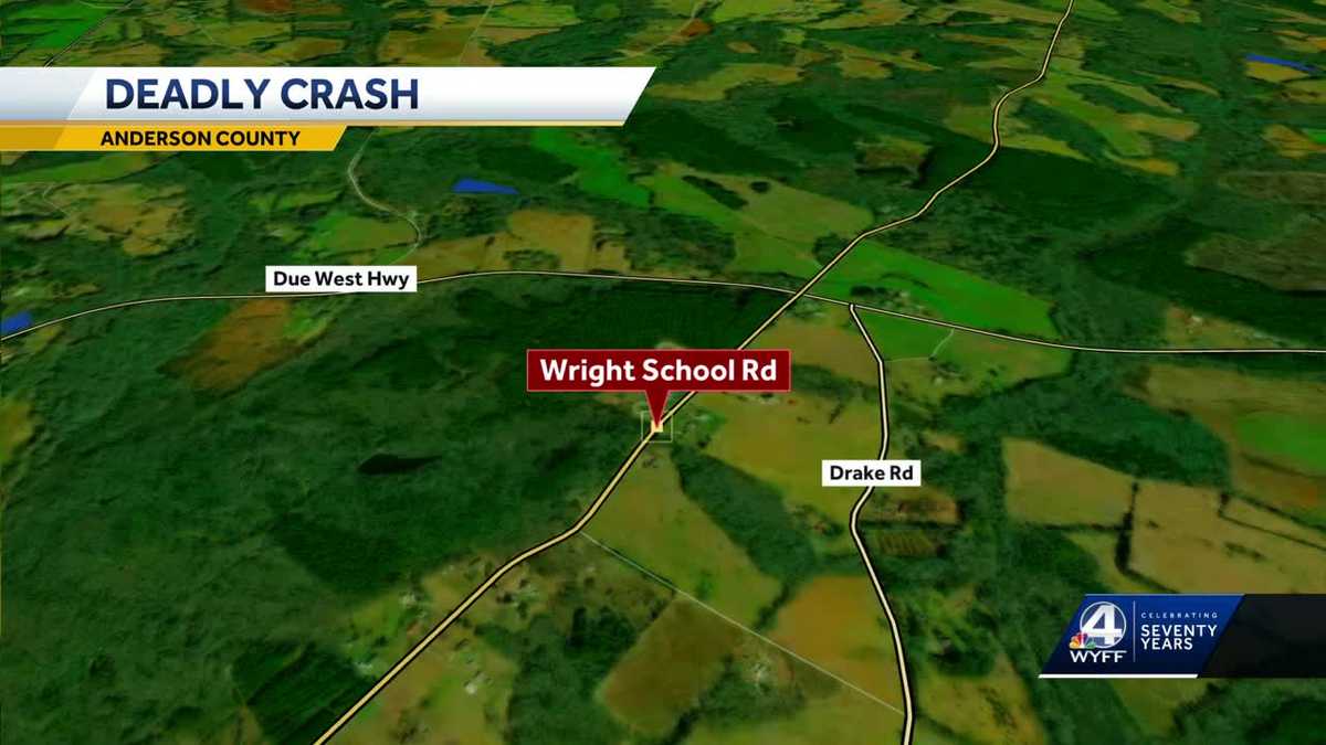 Driver dies after hitting deer in South Carolina, coroner says - WYFF