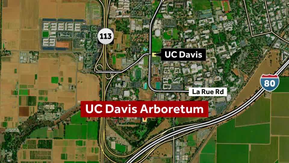 Davis man allegedly kidnapped woman from UC campus, police say