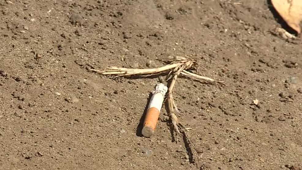 what's the best way to quit smoking cigarettes Quitting smoking is one of the best things you can do for your body. After  just 20 minutes cigarette-free, your heart rate starts to drop. And if you  commit to kicking the