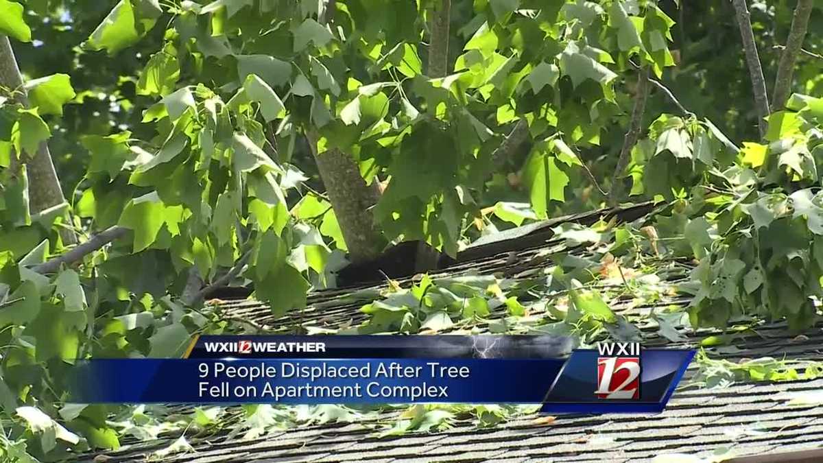 Severe weather, falling tree damages Kernersville apartment complex