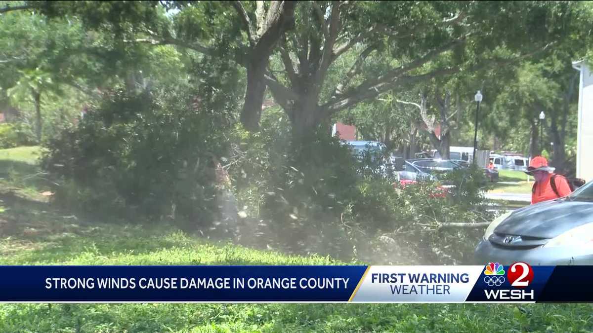 Neighborhoods clean up after heavy storm damage in Orange County