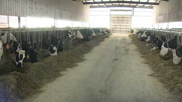 Continued climate change will be challenge for dairy farms, agriculture economist says - Vimarsana News