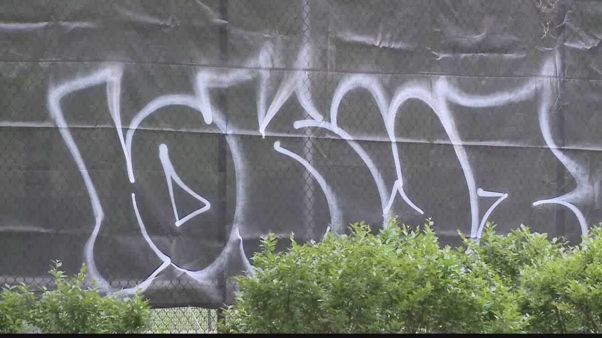 Taggers spray paint the lakefront tennis court screens