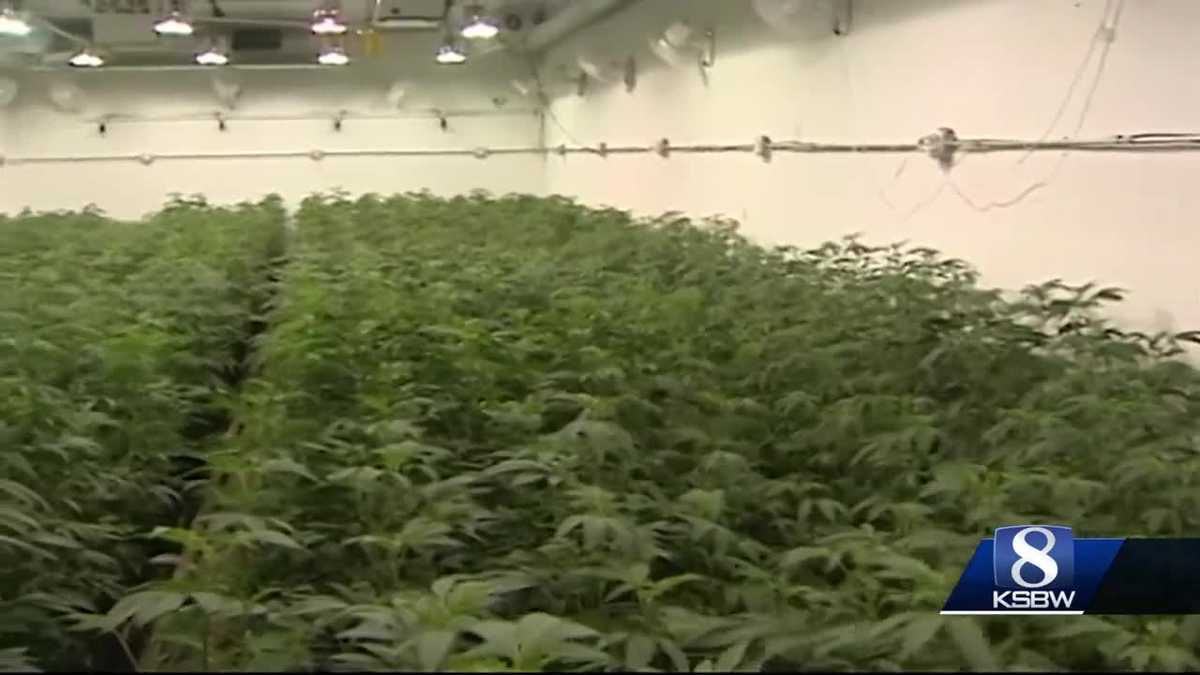 Monterey County Measure H