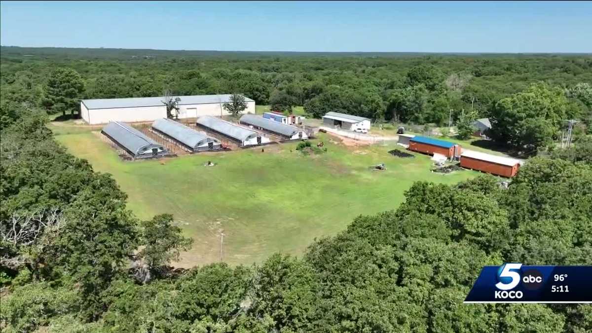 Investigators seek suspects in Tecumseh marijuana grow facility murder ...