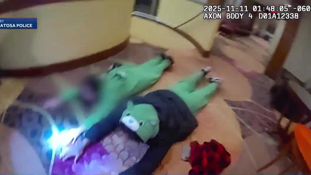 VIDEO: Police arrest teens in 'Care Bear' costumes at vacant Wisconsin hotel